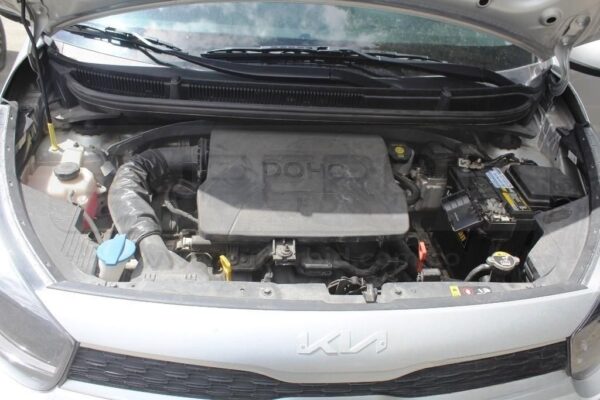 KIA PICANTO MODELO 2022 PLACA 9