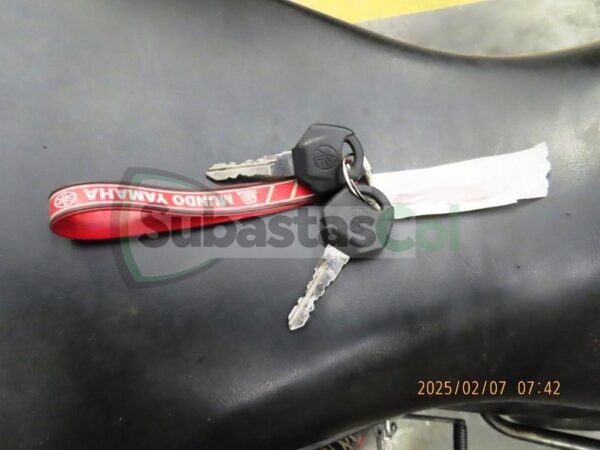 1377b184-b55e-4869-bb35-85596550db94 YAMAHA MT15 MODELO 2024