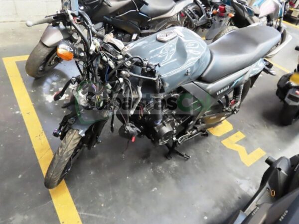YAMAHA SZ15RR MODELO 2024