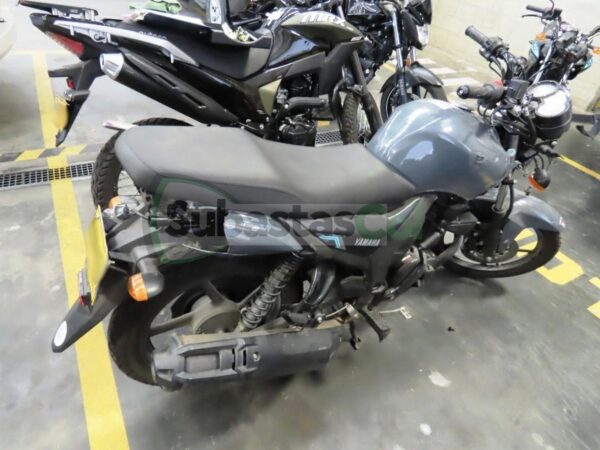 YAMAHA SZ15RR MODELO 2025