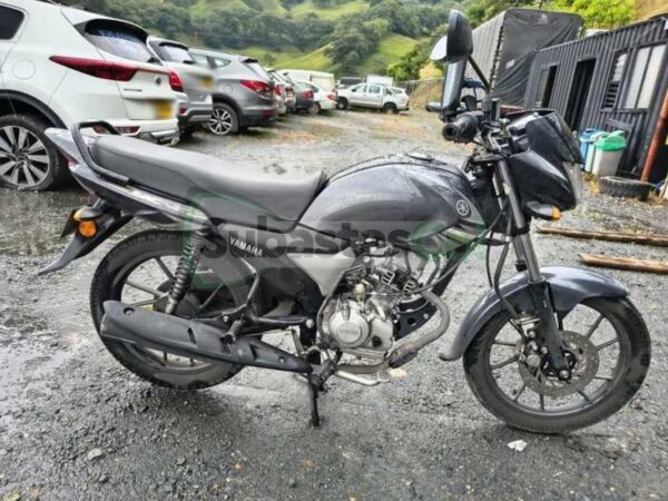 YAMAHA YC-Z MODELO 2025